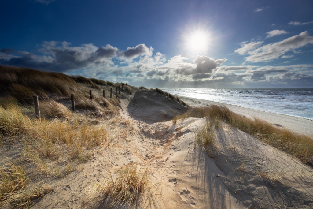 Stockfoto - zon - strand