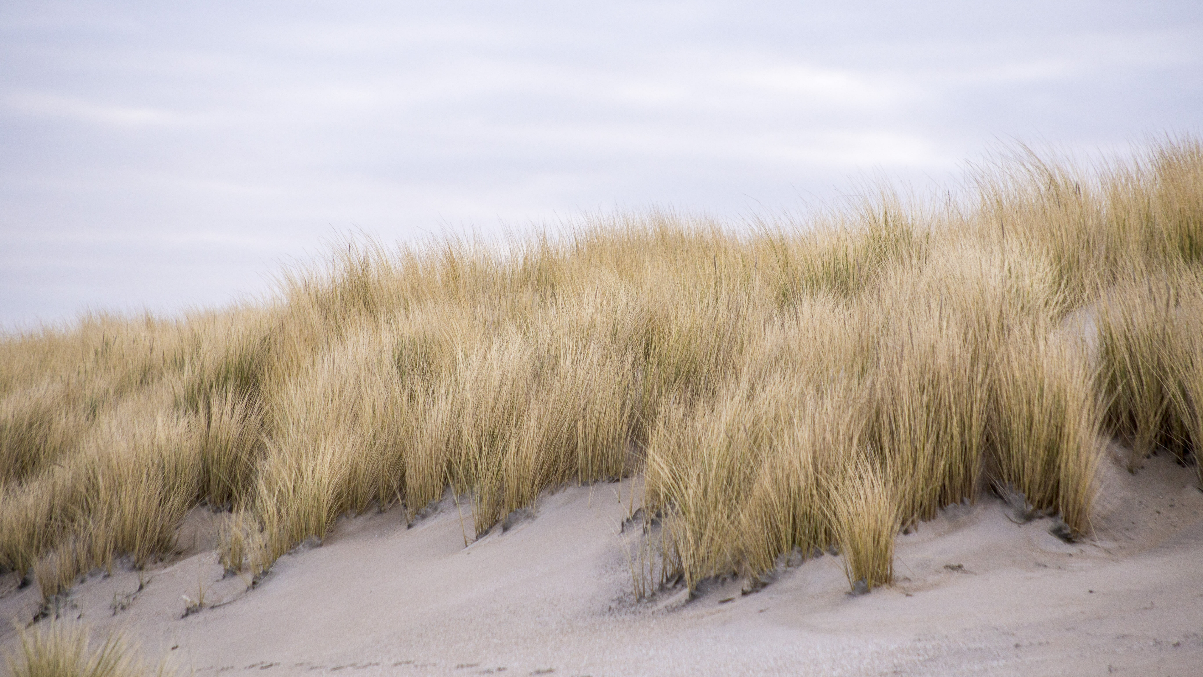 Winter_dunes